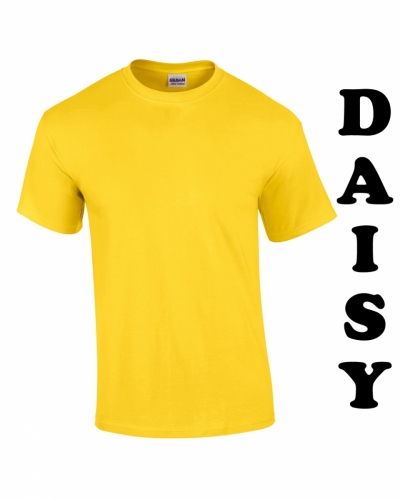 Daisy