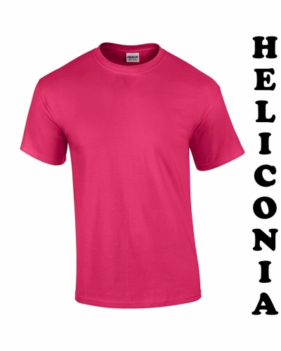 Heliconia