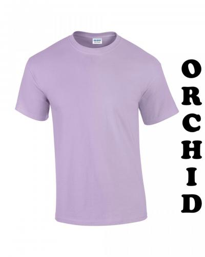 Orchid